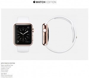 apple-watch-edition-1-300x264-9716293